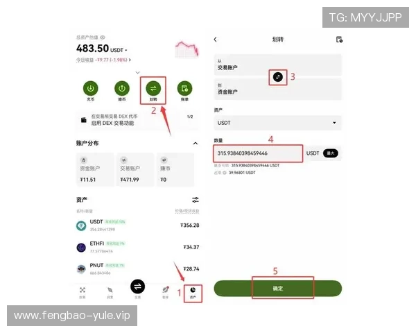 亚星娱乐电游官网支付方式与提款流程指南确保资金安全快速到账